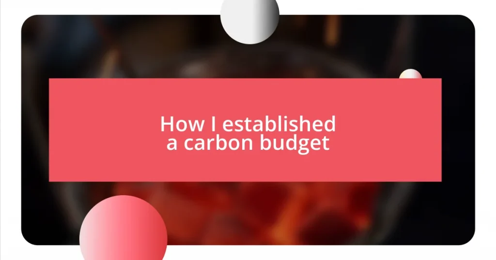 How I established a carbon budget