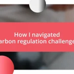 How I navigated carbon regulation challenges