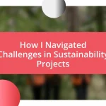 How I Navigated Challenges in Sustainability Projects