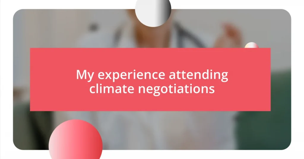 My experience attending climate negotiations