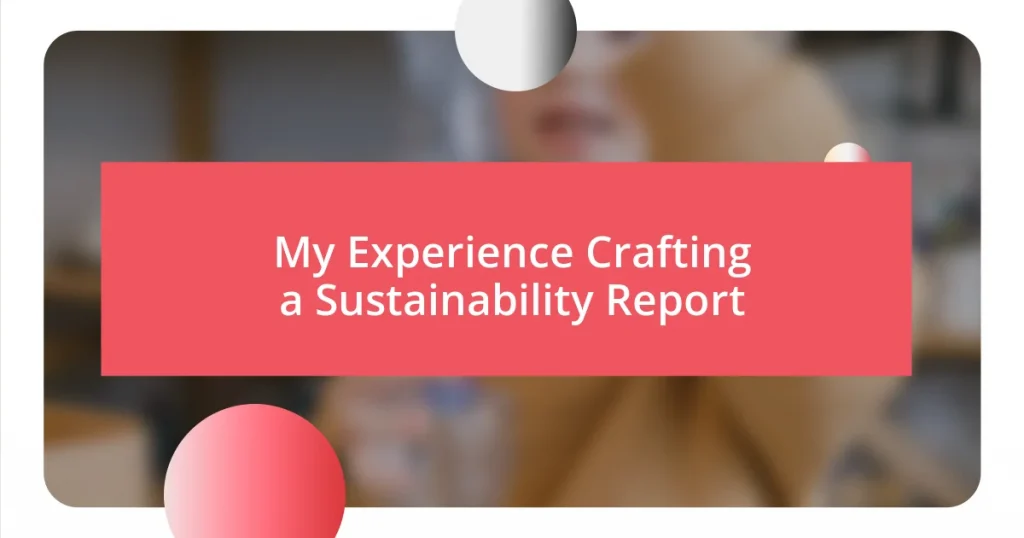 My Experience Crafting a Sustainability Report