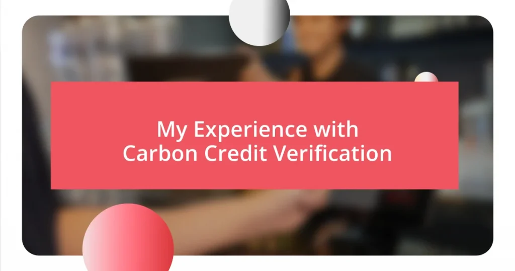 My Experience with Carbon Credit Verification