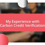 My Experience with Carbon Credit Verification