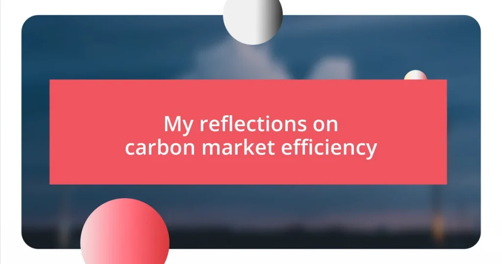 My reflections on carbon market efficiency