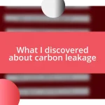 What I discovered about carbon leakage